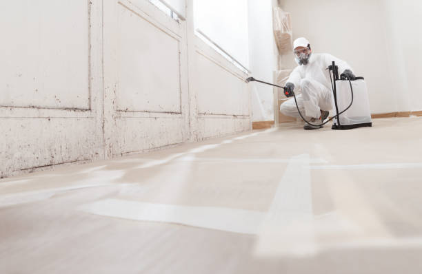 24/7 Emergency Mold Remediation experts in Forest Lake, MN