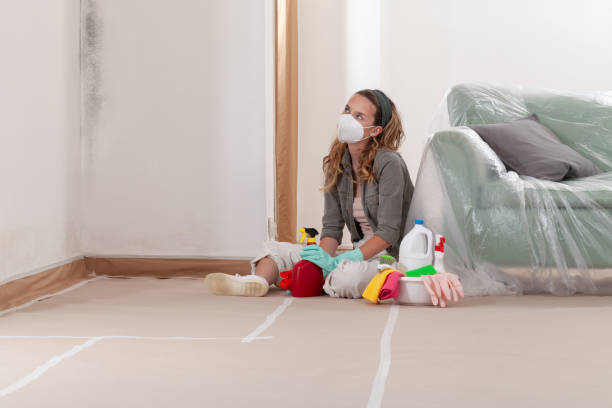 Reliable Mold Remediation contractor in Forest Lake, MN by WQB Mold Removal